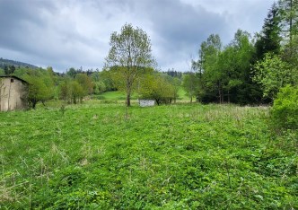 działka na sprzedaż - Walim, Rzeczka