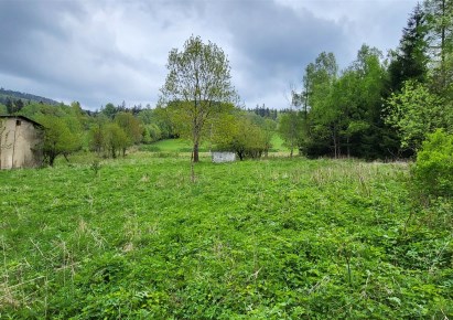 działka na sprzedaż - Walim, Rzeczka