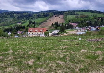 działka na sprzedaż - Walim, Rzeczka