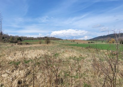 działka na sprzedaż - Mieroszów