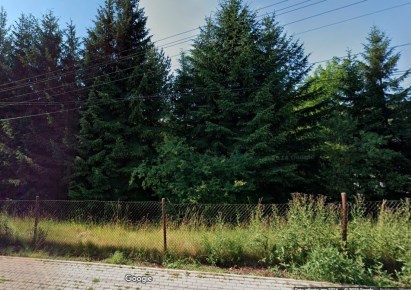 działka na sprzedaż - Walim, Dziećmorowice