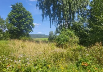 działka na sprzedaż - Mieroszów