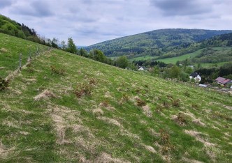 działka na sprzedaż - Walim, Rzeczka
