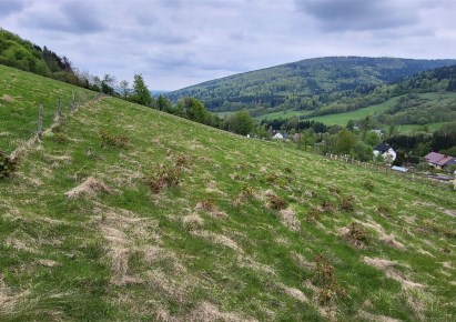 działka na sprzedaż - Walim, Rzeczka