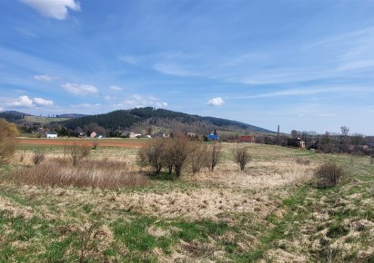 działka na sprzedaż - Mieroszów