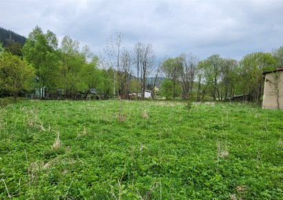 działka na sprzedaż - Walim, Rzeczka