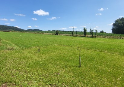 dom na sprzedaż - Mieroszów (gw), Nowe Siodło