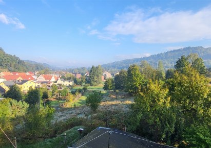 mieszkanie na wynajem - Głuszyca