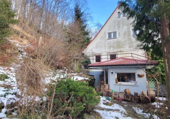 dom na sprzedaż - Walim, Olszyniec