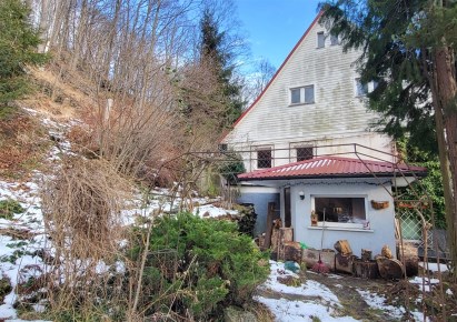 dom na sprzedaż - Walim, Olszyniec