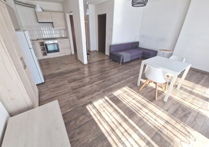 mieszkanie na wynajem - Czarny Bór