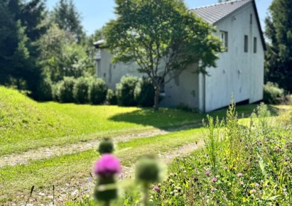 dom na sprzedaż - Mieroszów (gw), Nowe Siodło