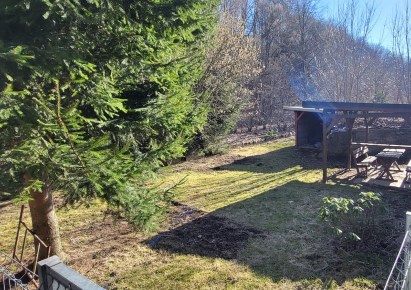 mieszkanie na sprzedaż - Walim, Olszyniec