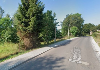 działka na sprzedaż - Walim, Dziećmorowice