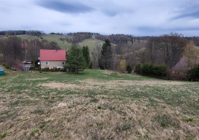 działka na sprzedaż - Mieroszów (gw), Rybnica Leśna