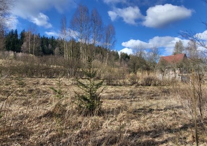 działka na sprzedaż - Kamienna Góra (gw), Kochanów