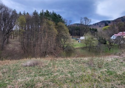 działka na sprzedaż - Wałbrzych, Podgórze