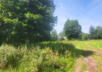 działka na sprzedaż - Mieroszów