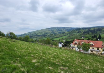 działka na sprzedaż - Walim, Rzeczka