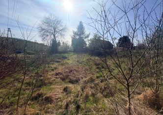 działka na sprzedaż - Walim, Dziećmorowice