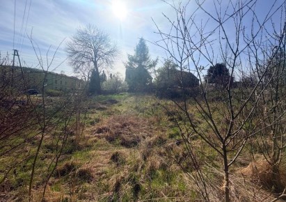 działka na sprzedaż - Walim, Dziećmorowice
