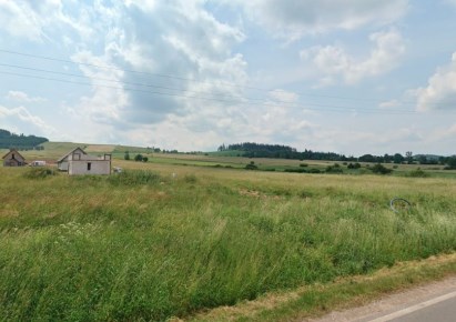 działka na sprzedaż - Czarny Bór, Jaczków