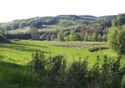 działka na sprzedaż - Mieroszów (gw), Unisław Śląski