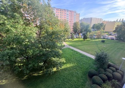 mieszkanie na wynajem - Wałbrzych, Podzamcze